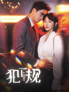 犯了规 全集 (下)
