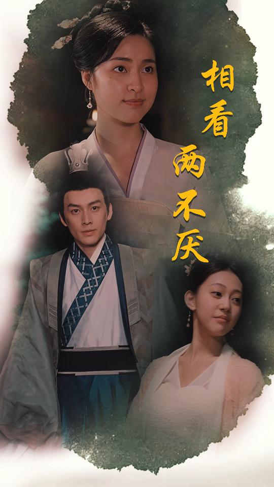 相看两不厌这个王妃不好惹 全集(大结局)