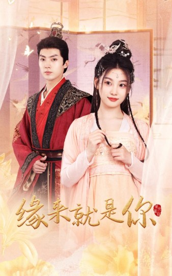 缘来就是你 全集(大结局)