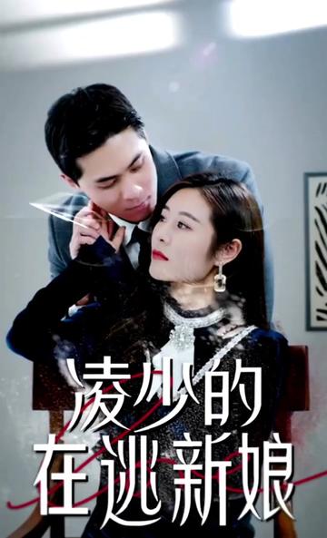 凌少的在逃新娘 全集(大结局)