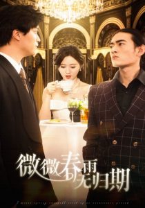 微微春雨无归期 全集(大结局)