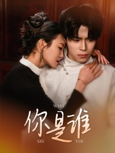 你是谁 全集(大结局)