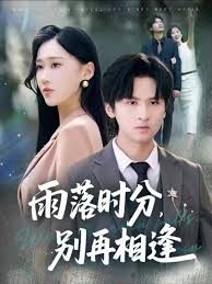雨落时分别再相逢(全集)